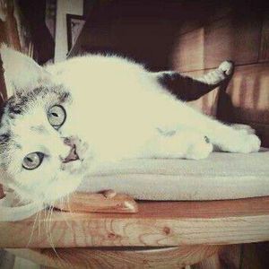 Meet your Posher, Alycia